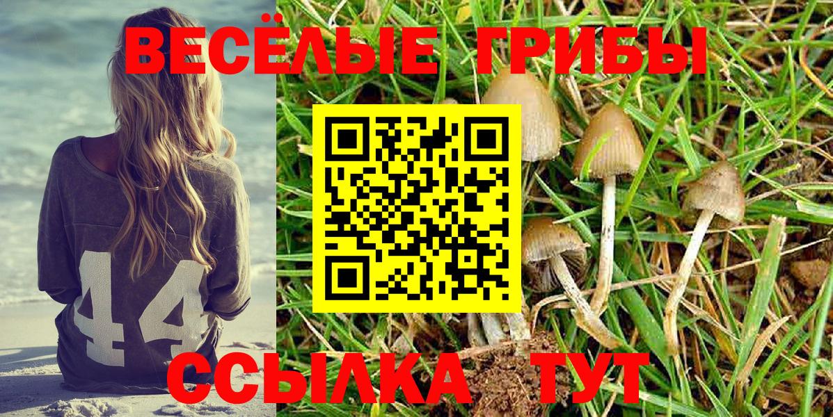 Галлюциногенные грибы MAGIC MUSHROOMS  Вход с VPN  Бутурлиновка 